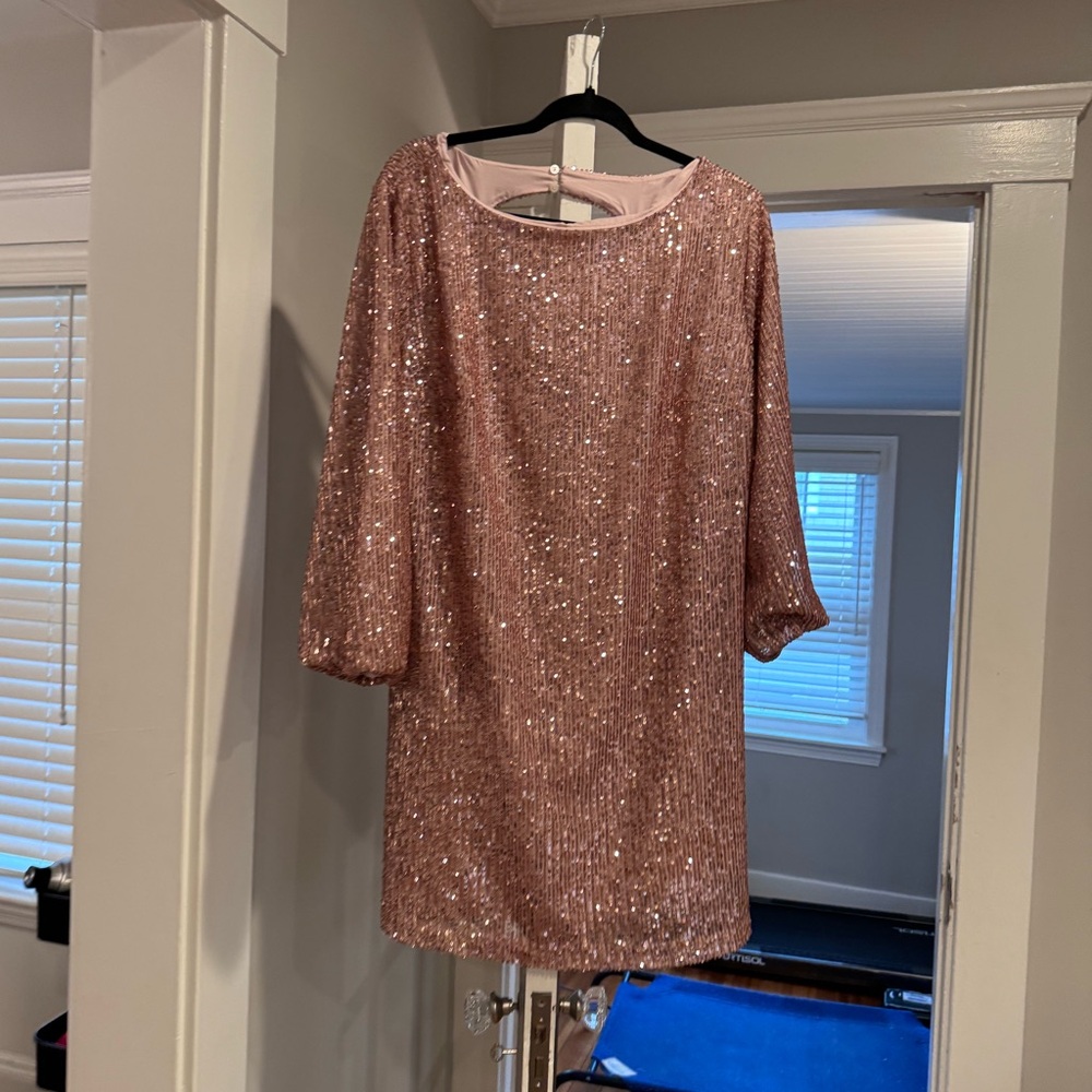 Sparkly Loft shift Dress
